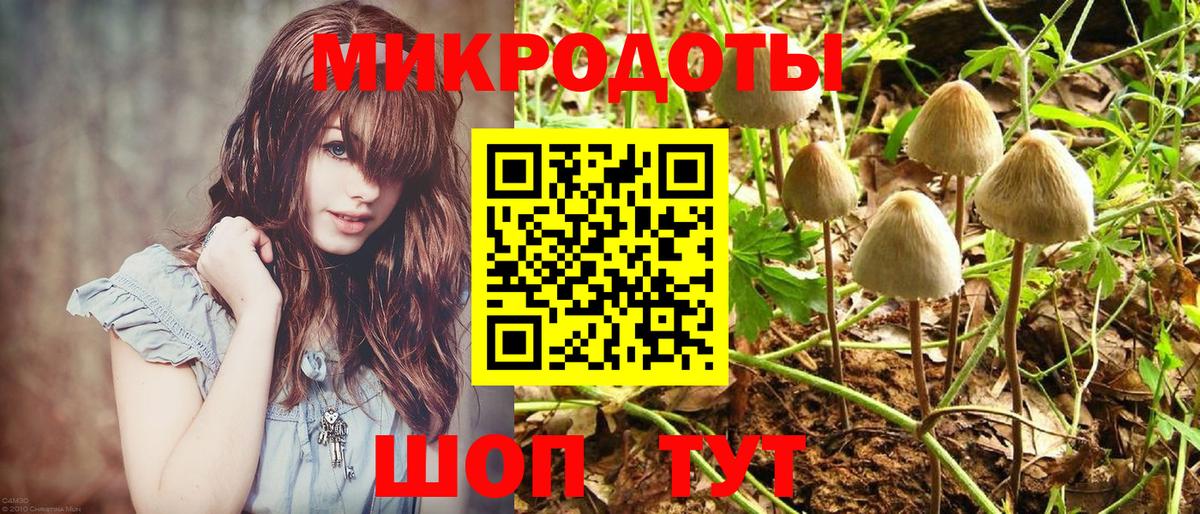 Дедовск  Галлюциногенные грибы Psilocybe  Вход с VPN  Галлюциногенные грибы мухоморы 